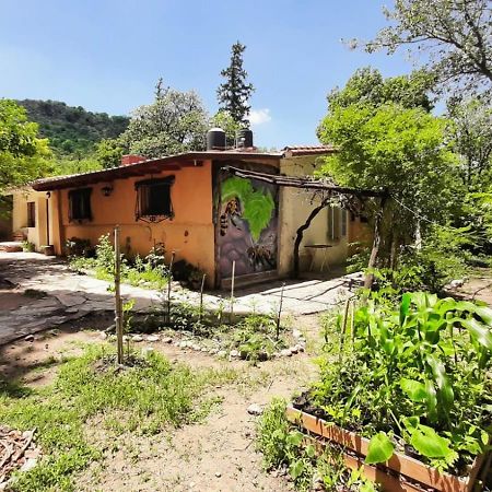 Alquimia Pansiyon San Marcos Sierra Dış mekan fotoğraf